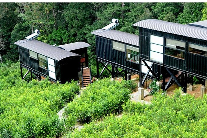 Rainforest Eco Lodge 